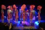 Thumbs/tn_Dansmarieke Festival 2016 469.jpg